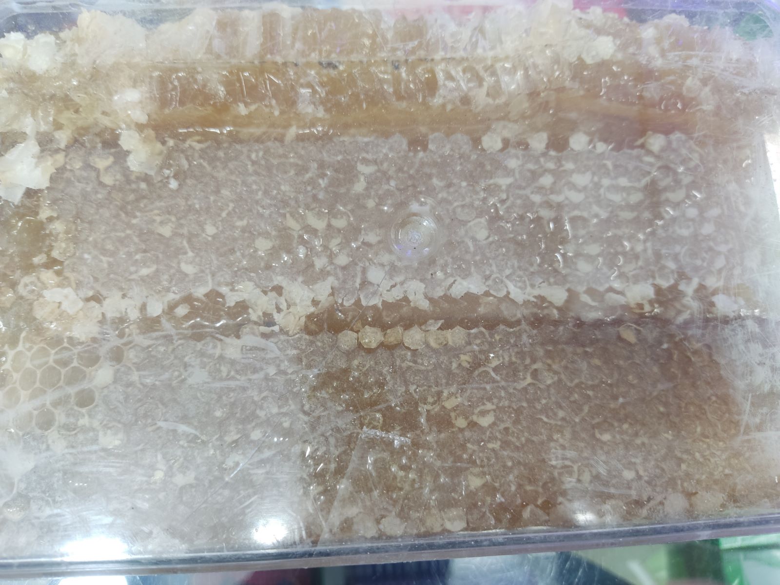 عسل درجه یک طبیعی کوهستان